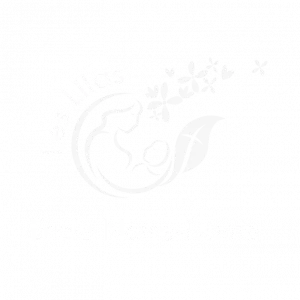 une equipe pedagogique Notre Dame des Lilas logo une equipe pedagogique Notre Dame des Lilas
